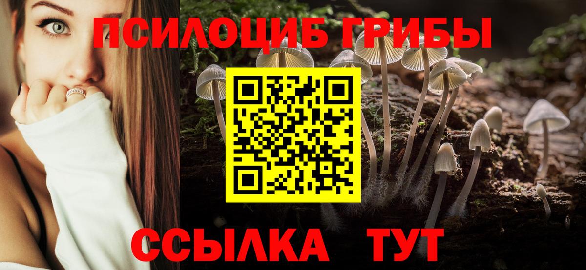Краснознаменск  Псилоцибиновые грибы Psilocybe  Вход с VPN 